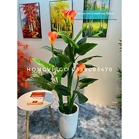 Mua Cây hoa rum giả cao 150cm 3 thân