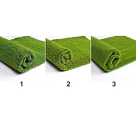 Mua Thảm rêu trang trí