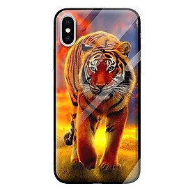 Ốp kính cường lực cho iPhone XS MAX mẫu HỔ 227 - Hàng chính hãng