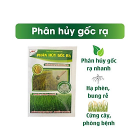 Trichoderma xử lý nhanh rơm rạ tại ruộng, ủ rơm rạ