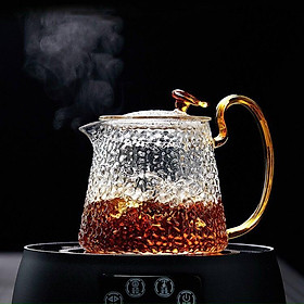 Mua Ấm Pha Trà Thủy Tinh Có Lõi Lọc Quai Vàng Cao Cấp 500ml