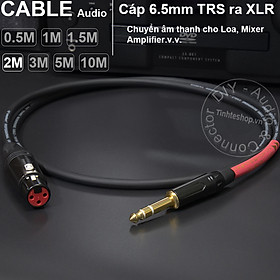 Mua Dây canon ra 6 ly TRS DIY 0.5 đến 10 mét - XLR female to 6.35mm stereo cable