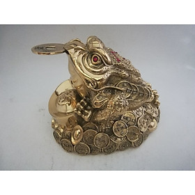 Mua Thiềm thử ngậm tiền cao 13cm bằng đồng