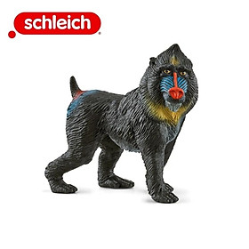 Đồ Chơi SCHLEICH Khỉ Đầu Chó 14856