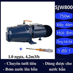 Mua Máy bơm nước Jet100 chuyên dùng để tưới tiêu  hút nước dùng được cho nước giếng  ao hồ  nước sạch công suất 1.0hp