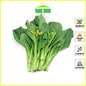 Hạt giống Cải Ngọt Bông (Cải Ngồng) (gói 20 gram) - Hạt Giống Rạng Đông