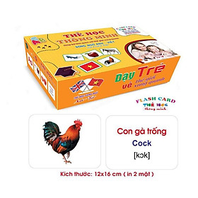 Bộ Thẻ Học Thông Minh 18 Chủ Đề TGXQ loại TO song ngữ A-V loại chuẩn Glenn Doman Flashcard cho bé từ 0-6 tuổi