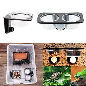 2x Reptile Feeding Bowl Suction Food & Water Dish For Gecko, Lizard, etc