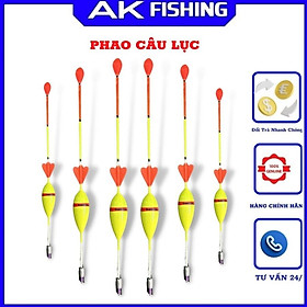 Phao câu lục câu cá ngày đêm xa bờ đầu cần chất lượng giá rẻ nhiều màu AKA FISHING