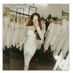Đầm body tay dài ren lưới thêu sexy