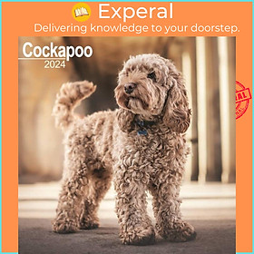 Sách - Cockapoo Square Wall Calendar 2024 by  (UK edition, paperback)