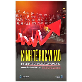 Hình ảnh sách Kinh Tế Học Vi Mô (2022)