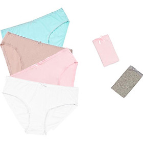 Combo 06 quần lót nữ cotton Vera