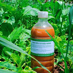Mua Dịch đậu nành  dịch đỗ tương BigFarm lên men đậm đặc kích chồi  cho hoa lan   hoa hồng  rau rạch hữu cơ 1 lít