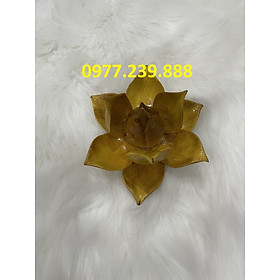 Mua hoa sen gỗ mít