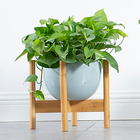 Mua Giá kệ gỗ mini để chậu cây hoa để trong nhà hoặc ngoài trời - Gỗ tre tự nhiên