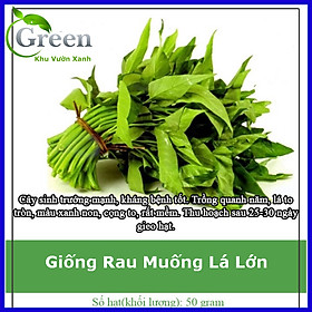 Hạt Giống Rau Muống Lá Lớn - Gói 50 gam