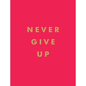 Hình ảnh sách Never Give Up