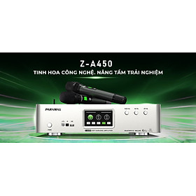 Mua Amply Paramax Z-A450  - New 100%