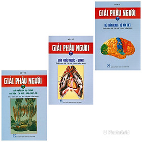 [Download Sách] Combo Giải Phẫu Người Tập 1 + 2 + 3 