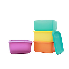 Bộ hộp BQTP Small Square Round Tupperware (4 hộp)