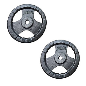 Bộ 2 bánh tạ gang 10kg Đại Nam Sport (Tổng 20kg)