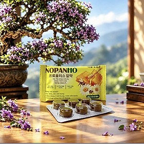 Combo 5 vỉ/6 viên- Kẹo ngậm ho Nopan chứa keo ong Nhập khẩu Hàn Quốc, giảm ho, viêm họng, sát khuẩn đường hô hấp