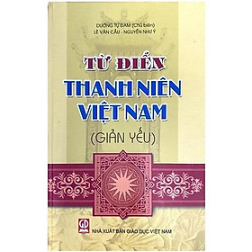 Từ điển thanh niên Việt Nam (Giản yếu)