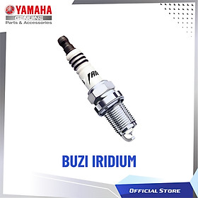 BUGI IRIDIUM (CR8EIX)