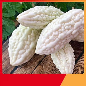 Mua Hạt Giống Mướp Đắng Trắng - Nảy Mầm Cực Chuẩn