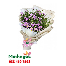 Mua Hoa Thạch Thảo – loài hoa của sự chờ mong – 210