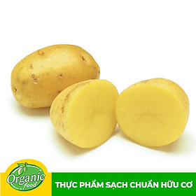 Khoai tây hữu cơ Organicfood - 500gram