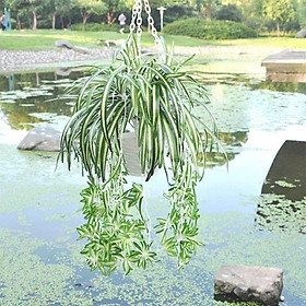 Mua Cành Lan Chi Hoa rủ 40cm- Cây nhựa - Trang trí giỏ treo  giỏ ốp  tường cỏ