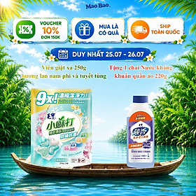 Viên giặt xả Mao Bao - Chống mạt và kháng khuẩn 10g*25 viên (Hương lan nam phi và tuyết tùng)