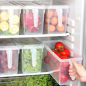 Mua HỘP NHỰA BẢO QUẢN THỰC PHẨM TRONG TỦ LẠNH CÓ CÁN CẦM