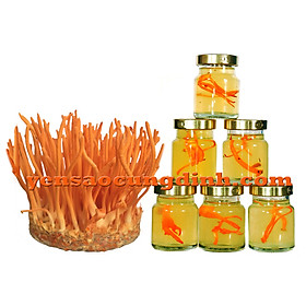 Bộ 2 hộp Thực phẩm bổ sung Nước yến sào Đông trùng hạ thảo ( tổ yến 18%) - Yến Sào Cung Đình