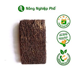 Mua Dớn bảng trồng lan
