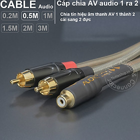 Mua Dây chia jack AV 1 ra 2 cắm từ SUB sang loa DIY 0.2 đến 3 mét - 1 to 2 male AV splitter cable