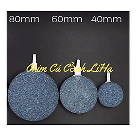 Mua Sủi Đĩa 4/6/8cm - Đĩa Sủi Cho Hồ Cá Cảnh