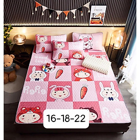 Mua Chiếu điều hòa cao su non latex 5d nhập khẩu cao cấp