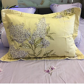 Vỏ gối everon ep1828 45*65 k ruột