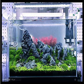 Mua Đá Kẹp Kem loại đẹp ( 2KG ) làm thác cát  trang trí hồ cá  bể cá  hồ thủy sinh  làm tiểu cảnh đem lại may mắn gia chủ