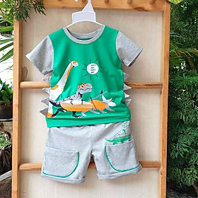 Bộ thun cotton mềm mại hình khủng long có vây siêu cute cho bé trai ( 2 màu)