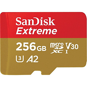 Mua Thẻ Nhớ MicroSDXC SanDisk Extreme V30 A2 160MB/s 256GB (New 2020 không adapter) - Hàng Nhập Khẩu