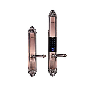 Mua Khóa vân tay Tân cổ điển cao cấp Kaadas 6002