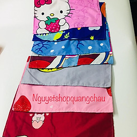 Mua (Được chọn mẫu) Vỏ gối nằm cho bé nhiều mẫu hoạt hình cute  ngộ nghĩnh cỡ 25x45cm - Áo gối đầu poly cotton