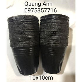 1kg TÚI BẦU ƯƠM CÂY GIỐNG (10 x 10 cm)