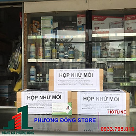 Hộp nhử mối hiểu quả tiện dụng