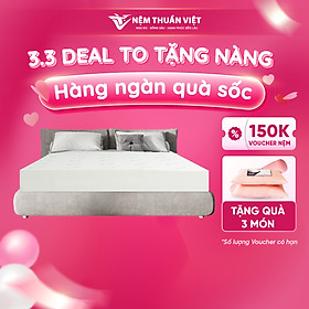 Mua  Mua 1 Tặng 3  Nệm Foam Thuần Việt Classic - Chất Liệu Foam Cao Cấp  Êm Ái  Bền Bỉ  Bảo Hành 7 Năm