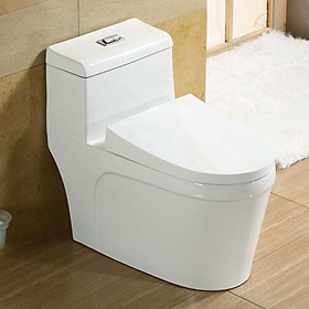 Mua Bồn bệt liền khối LK8339